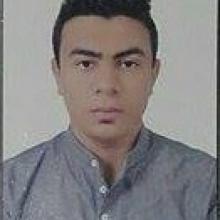 Student at High Risk of Torture if Extradited to Egypt