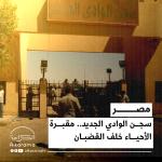 سجن الوادي الجديد
