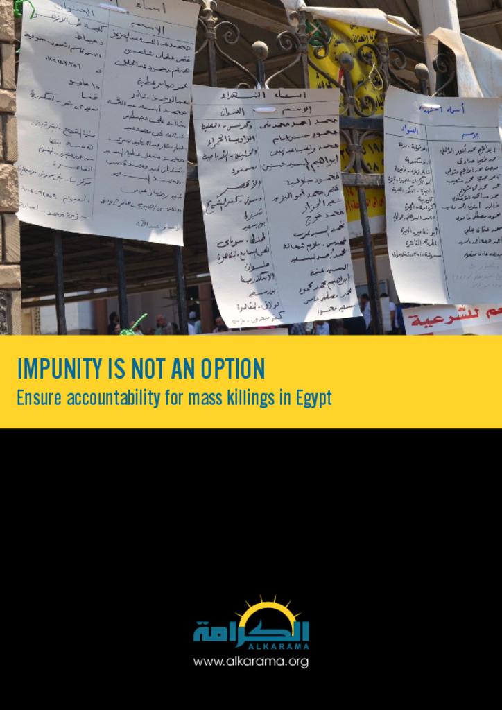 Egypt: Impunity Is Not an Option - Ensure Accountability for Mass Killings (2014)