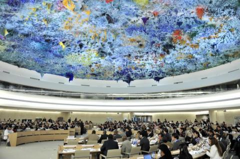 human rights council