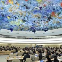 human rights council