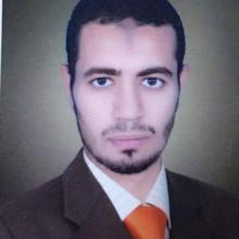 An Egyptian Citizen at Risk of Torture if Extradited